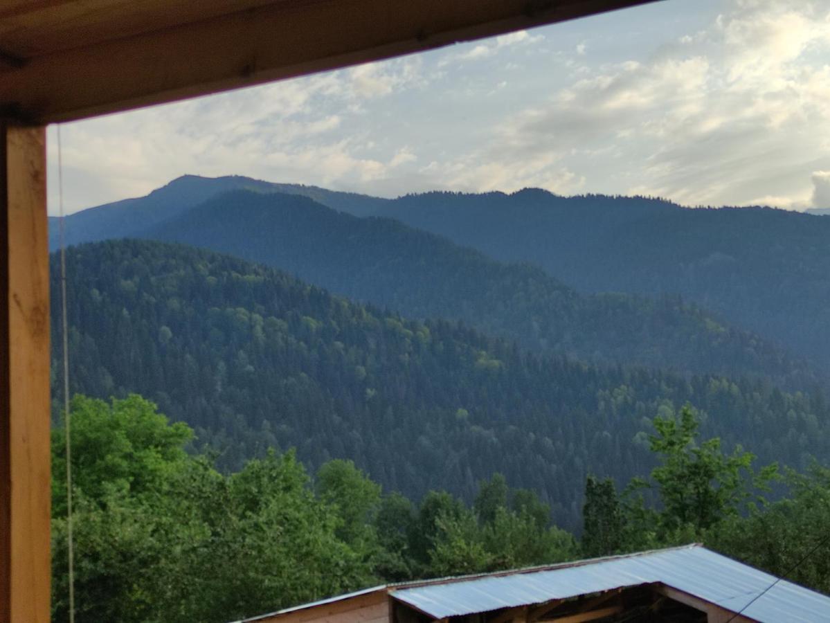 Ecohouse Svaneti Mestia Eksteriør bilde