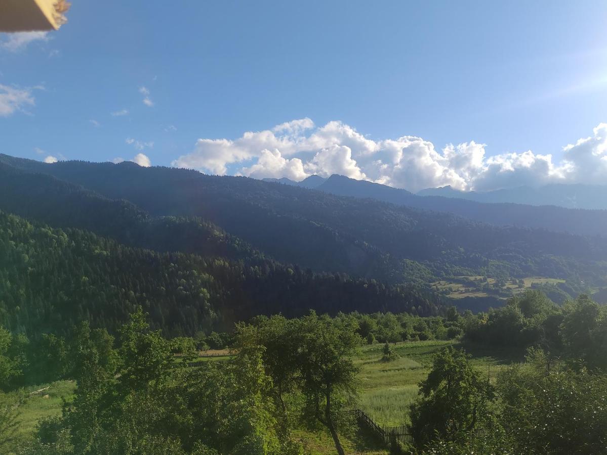 Ecohouse Svaneti Mestia Eksteriør bilde