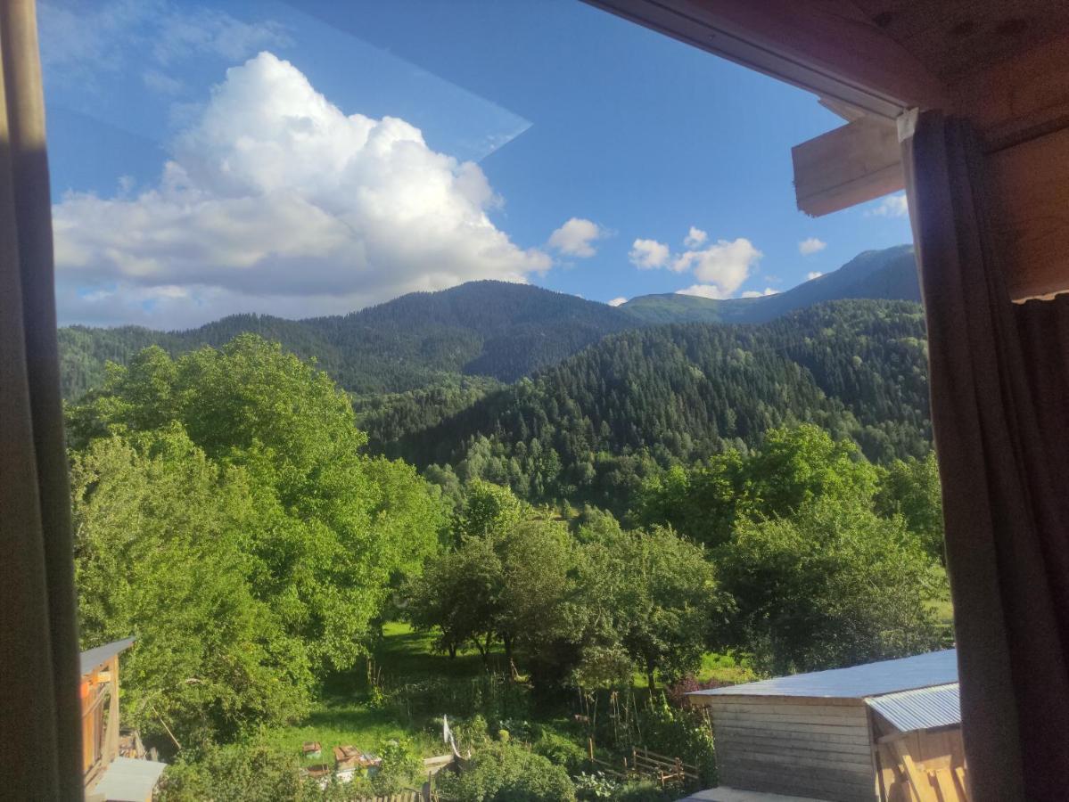 Ecohouse Svaneti Mestia Eksteriør bilde