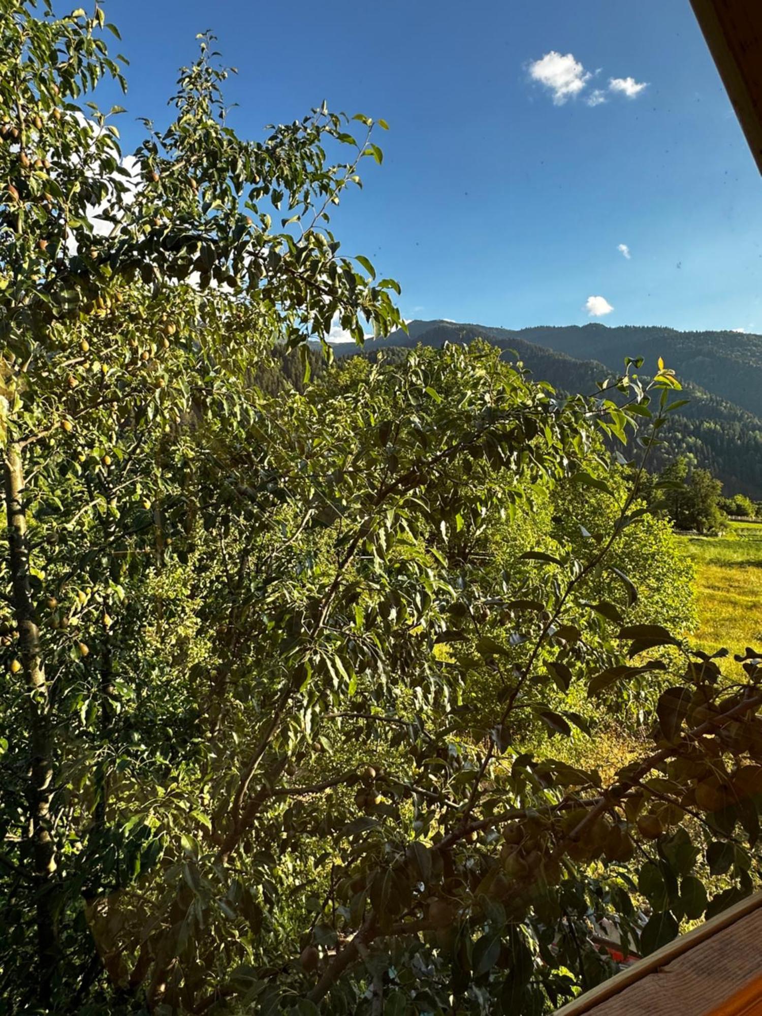 Ecohouse Svaneti Mestia Eksteriør bilde