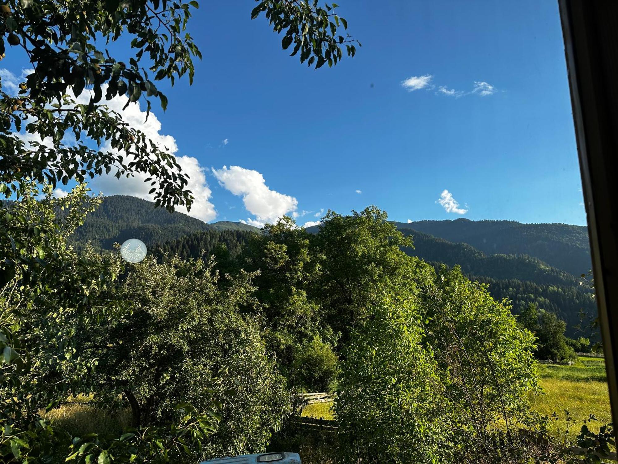 Ecohouse Svaneti Mestia Eksteriør bilde
