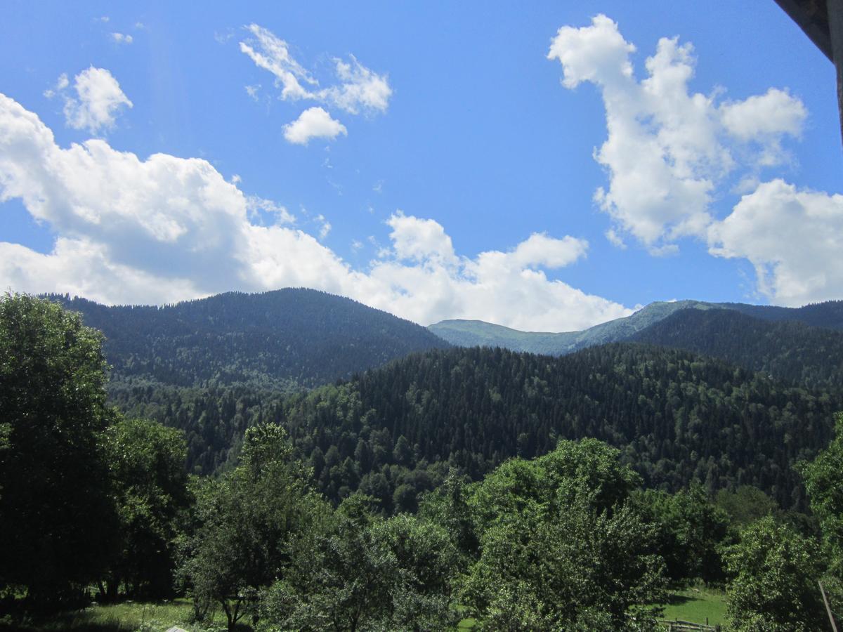 Ecohouse Svaneti Mestia Eksteriør bilde