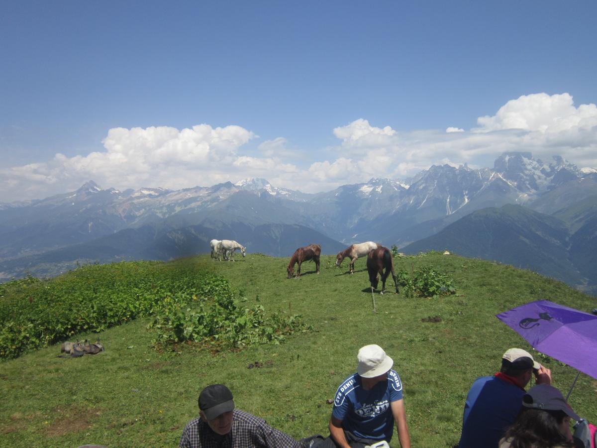 Ecohouse Svaneti Mestia Eksteriør bilde