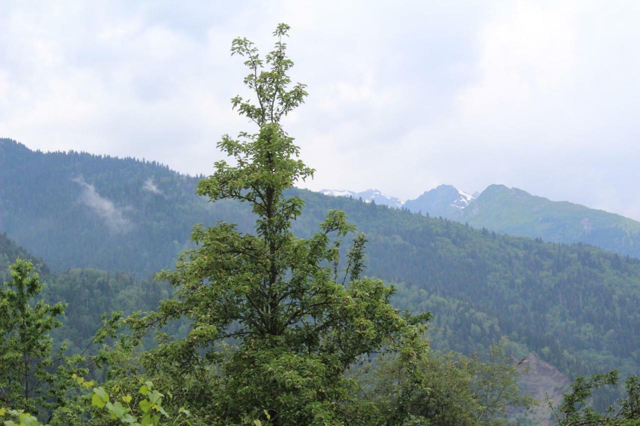 Ecohouse Svaneti Mestia Eksteriør bilde