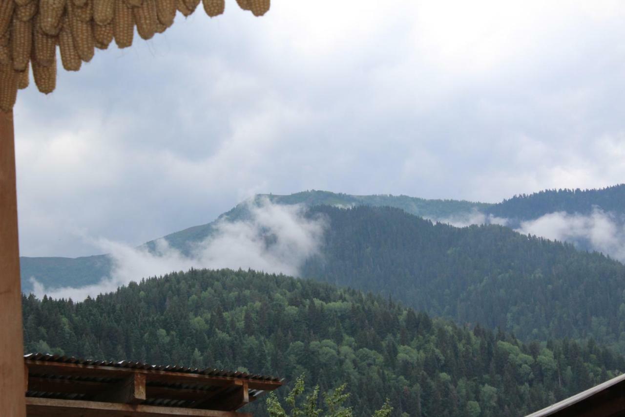 Ecohouse Svaneti Mestia Eksteriør bilde